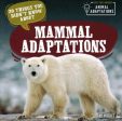 20 Things You Didn t Know About Mammal Adaptations Online Hot Sale